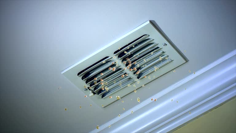 Best Home Air Vent Cleaning  in Iowa Park, TX